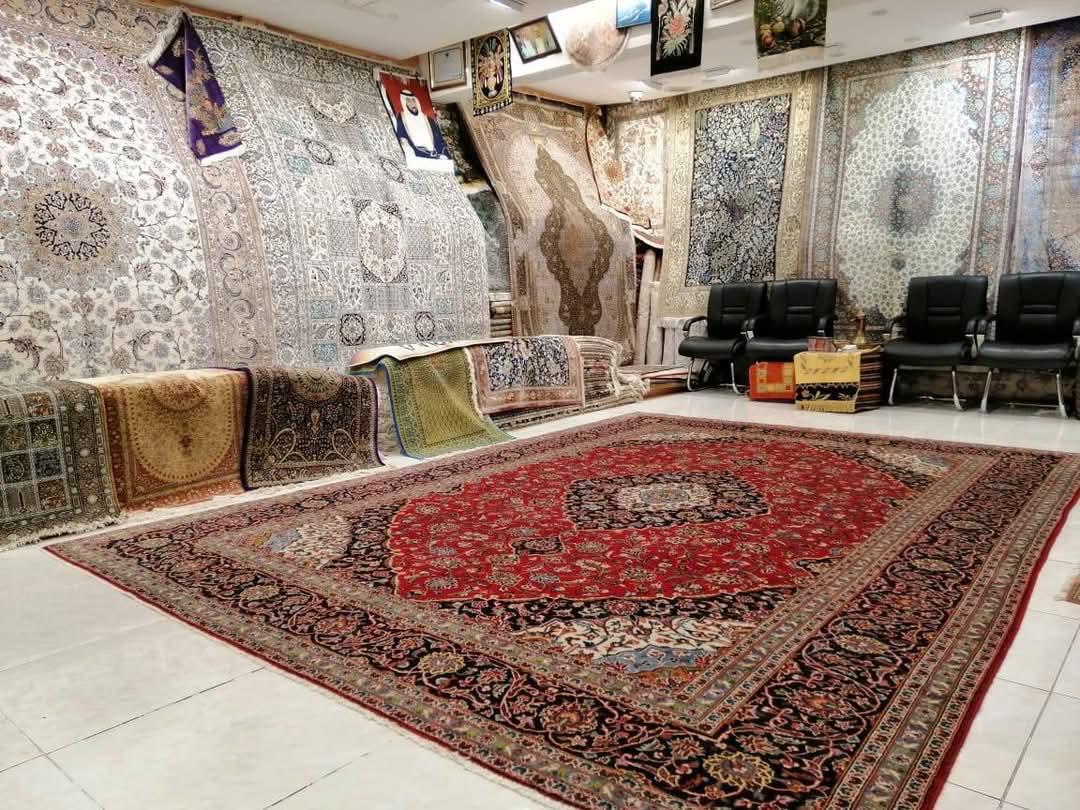 WhatsApp Image 2025 10 19 At 10.20.18 PM